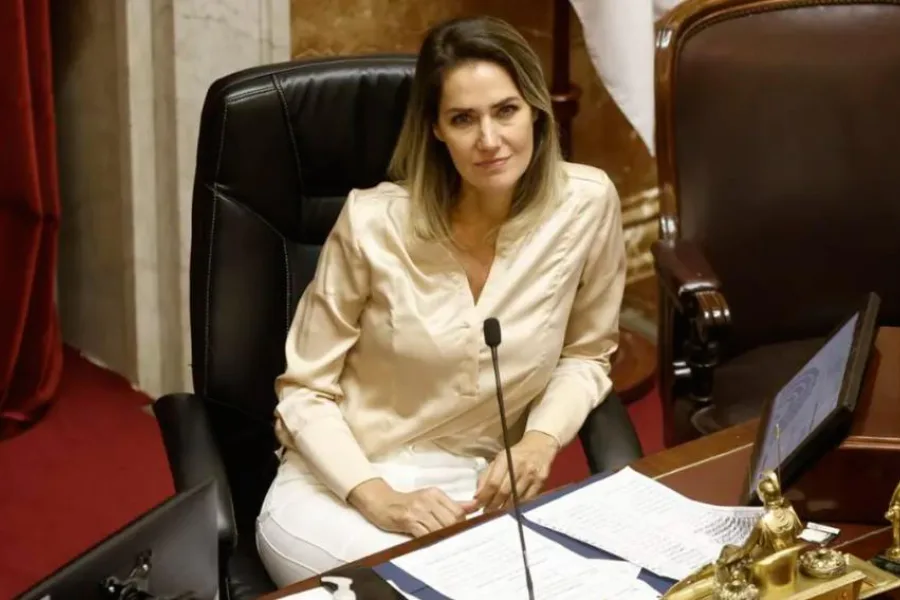 Denunciaron penalmente a la senadora Carolina Losada por su proyecto sobre "falsas denuncias"