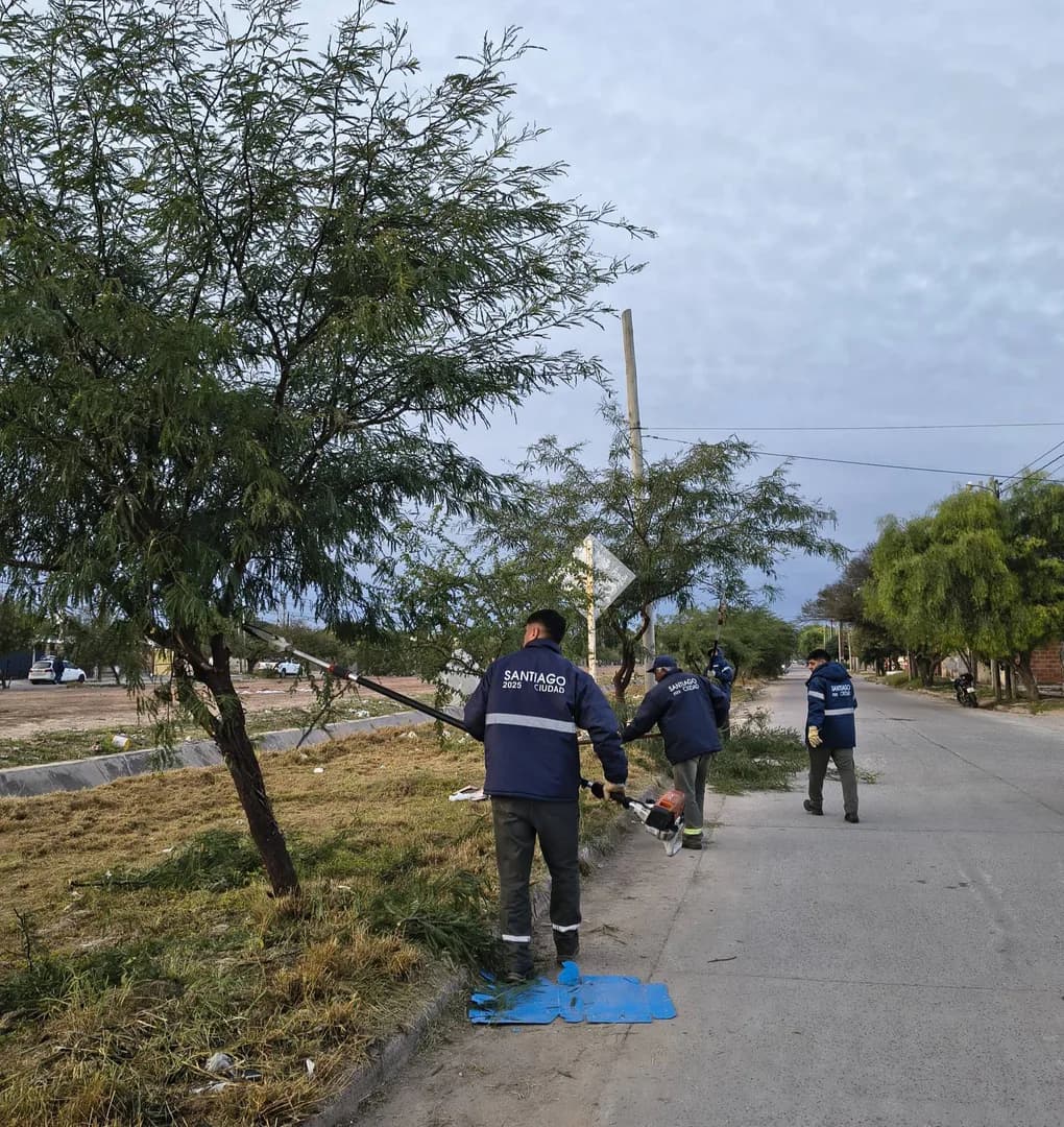 Operarios municipales realizaron tareas de poda y limpieza en la colectora de la avenida Leopoldo Lugones