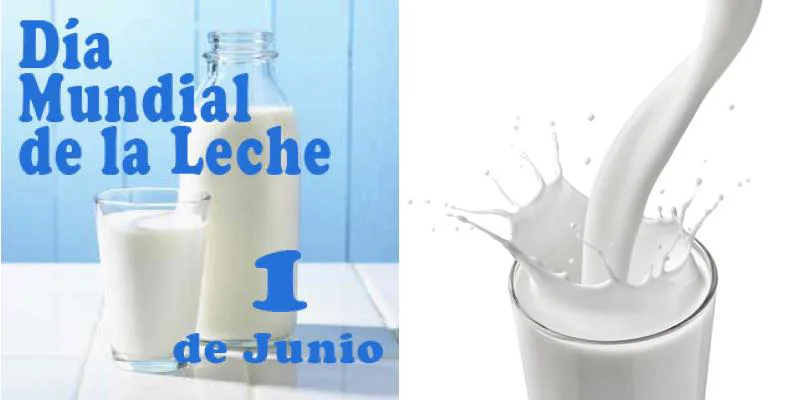 Día Mundial de la Leche: alertan que es uno de los primeros alimentos que relegan las familias vulnerables