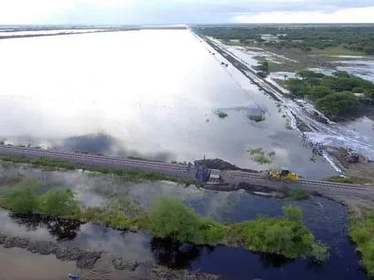 El Gobierno declaró la emergencia agropecuaria en zonas de Santa Fe hasta septiembre
