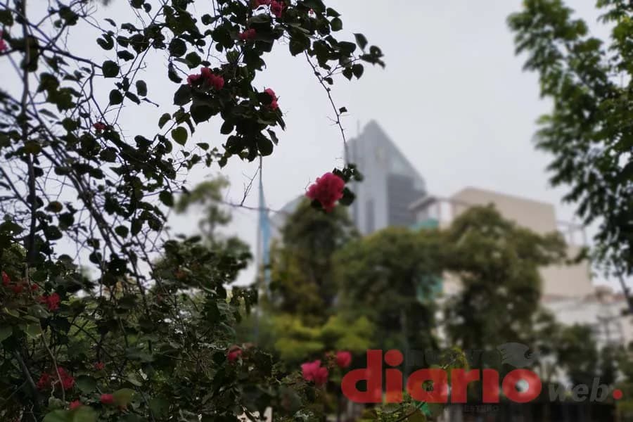 Jueves inestable y con neblina en Santiago: el Servicio Meteorológico Nacional anticipa lluvias aisladas por la mañana