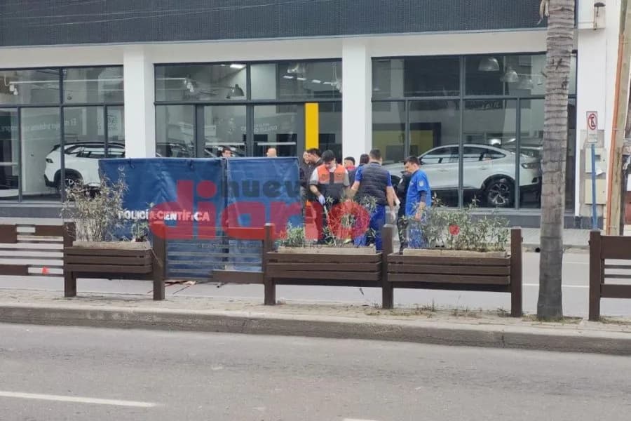 Lograron detener e identificar al conductor de la camioneta que asesinó a la joven de 27 años