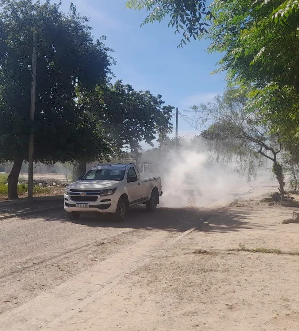 La Municipalidad de la Capital informó el cronograma de fumigaciones para esta semana