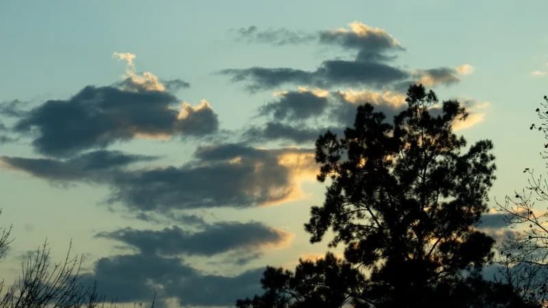Pronóstico del tiempo | Con una mañana fría y cielo nublado, la máxima llegará a los 18°C en Santiago del Estero