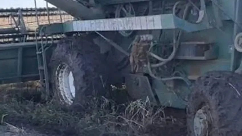 Un trabajador rural de 28 años murió tras ser arrollado por una cosechadora en un campo de Otumpa