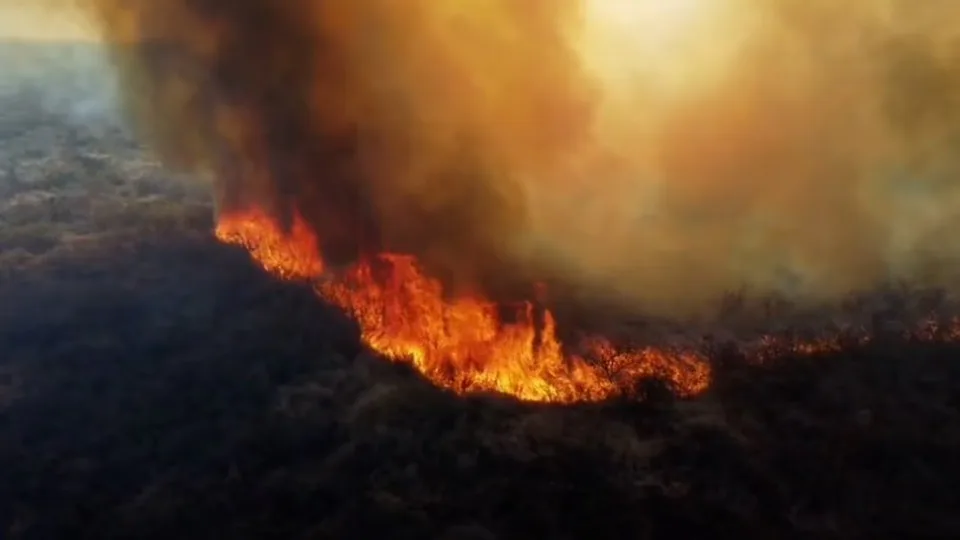 Tiró las brasas después de un asado, desató un incendio forestal y terminó detenido