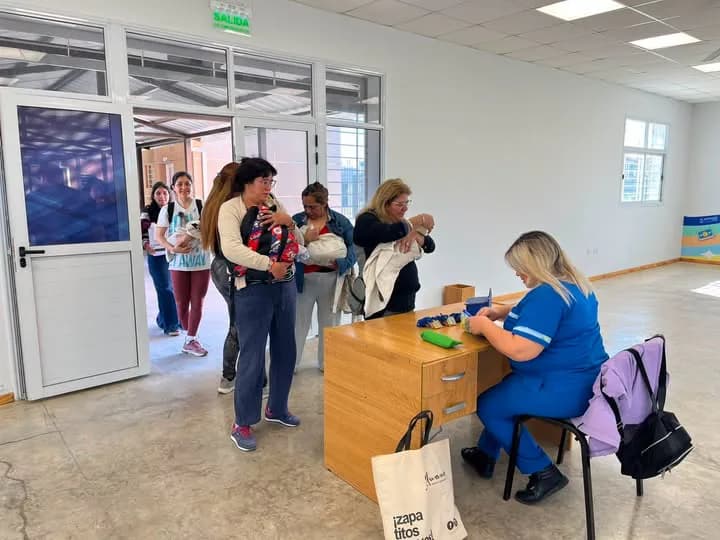 La Municipalidad realiza más de 100 castraciones gratuitas por semana para perros y gatos