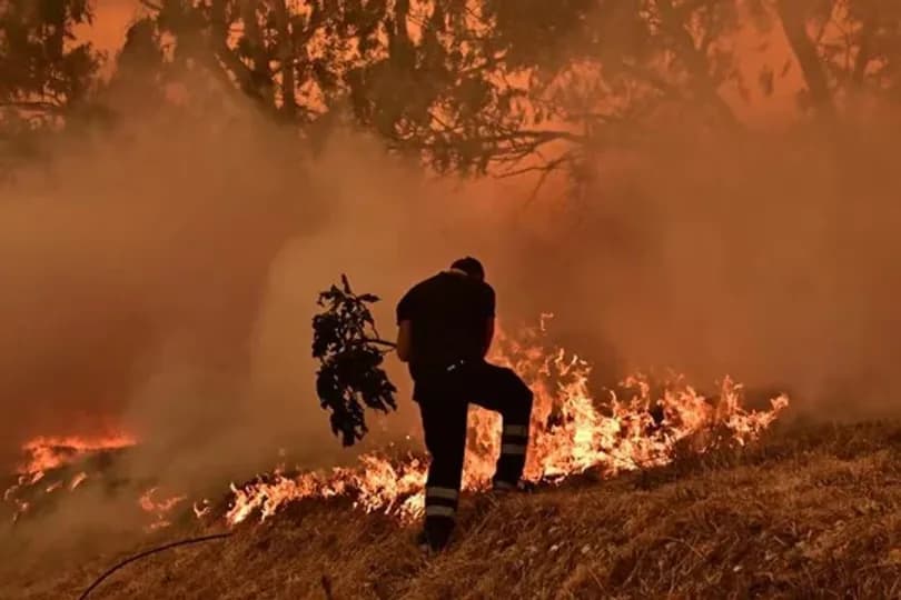 Día Mundial de la Prevención de Incendios Forestales: 5 medidas que pueden evitar una tragedia