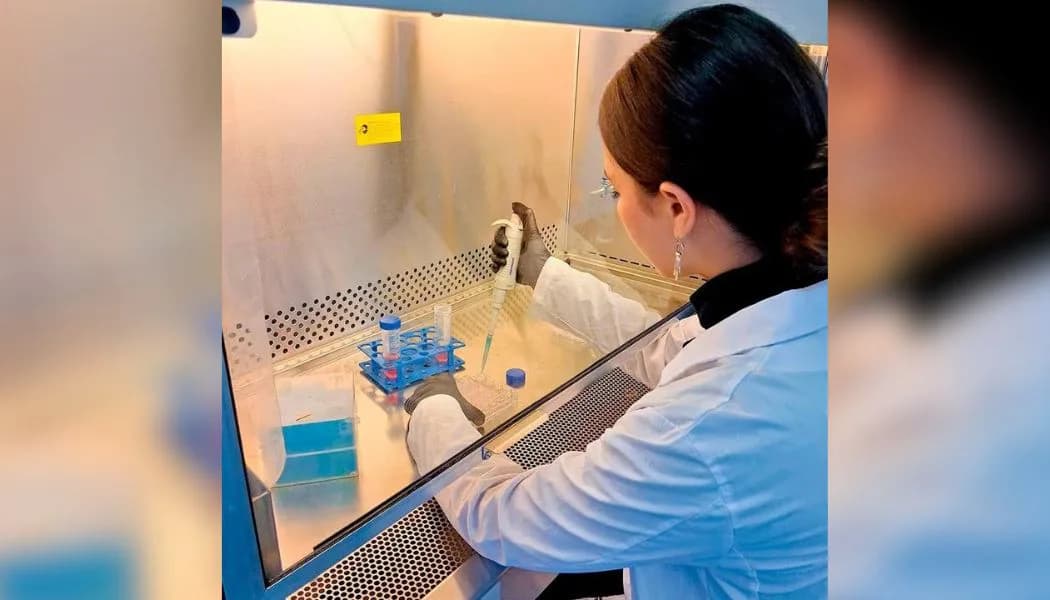 Científicos argentinos avanzan con un test para detectar trastornos del neurodesarrollo