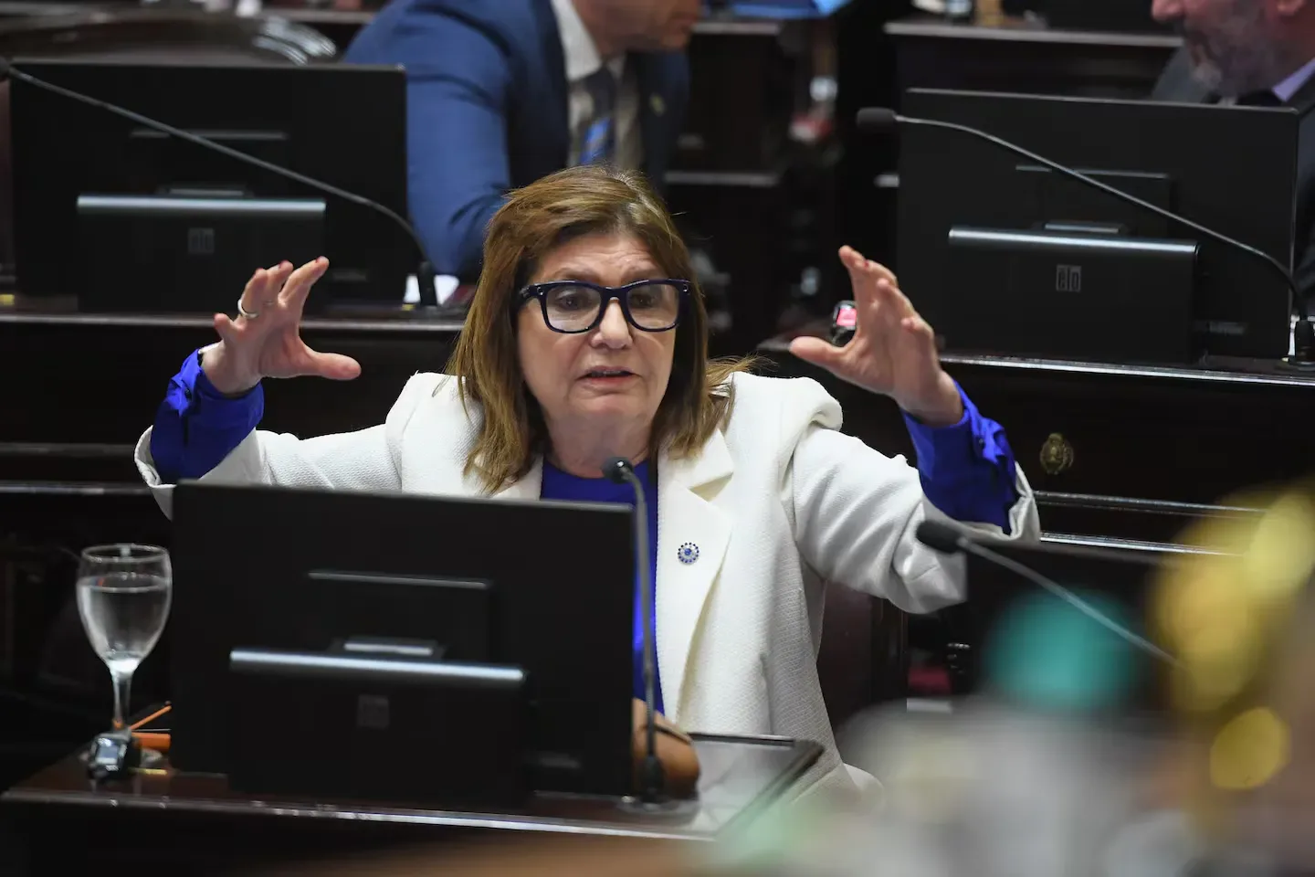 Patricia Bullrich reanudará en septiembre el debate por la Reforma Política y Ficha Limpia en el Senado