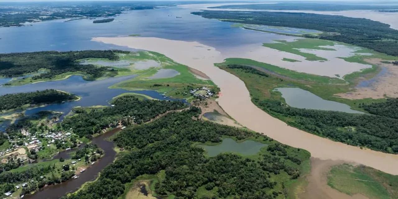 La pérdida de bosques en la Amazonia podría favorecer la transmisión del mal de Chagas