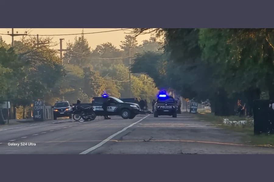 Brutal impacto en la Ruta 9: un equino murió tras ser embestido por una combi