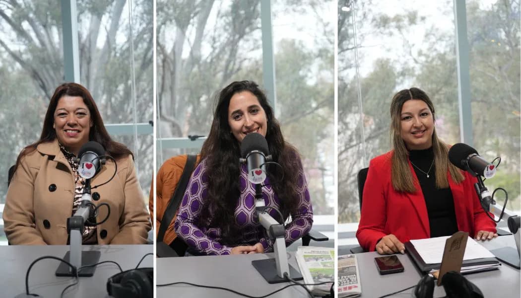 “Ley Polaco”: buscan crear un registro de maltratadores y endurecer las multas en Santiago
