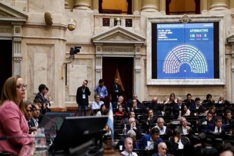 La Cámara de Diputados aprobó el cronograma para tratar la Emergencia en Discapacidad y la morosidad crediticia