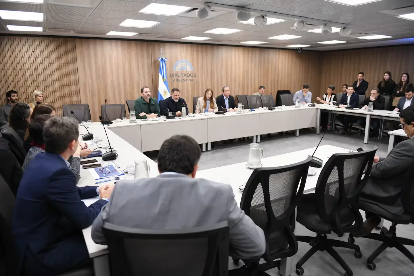 La Cámara de Diputados avanza en el debate para convertir en ley el programa Alerta Sofía