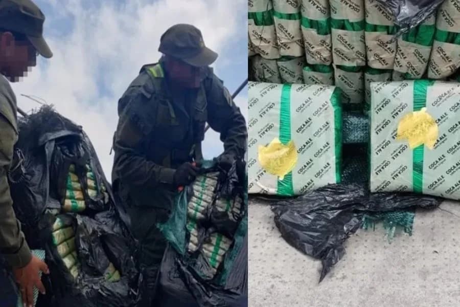 Algo extraño en la carga llamó la atención de Gendarmería: hallaron 420 kilos de hojas de coca