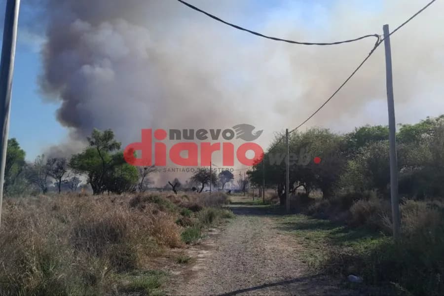 Un voraz incendio forestal genera alarma en inmediaciones de la Ruta Provincial 1 en la zona de El Polear