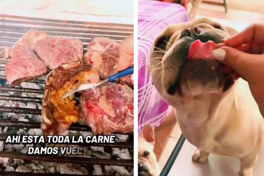 Una santiagueña le preparó un asado a su perro para festejar su cumpleaños y el video se volvió viral