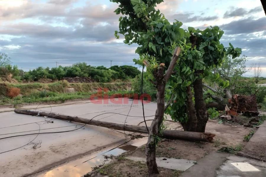 La tormenta pasó, pero el peligro continúa: un barrio permanece con cables sobre el asfalto