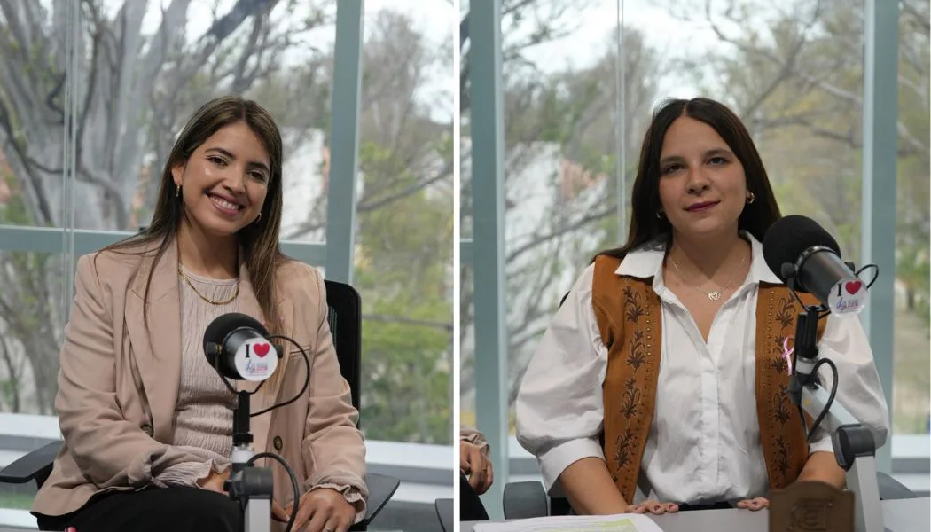 Abogadas advirtieron sobre los desafíos de aplicar la Ley Penal Juvenil en Santiago