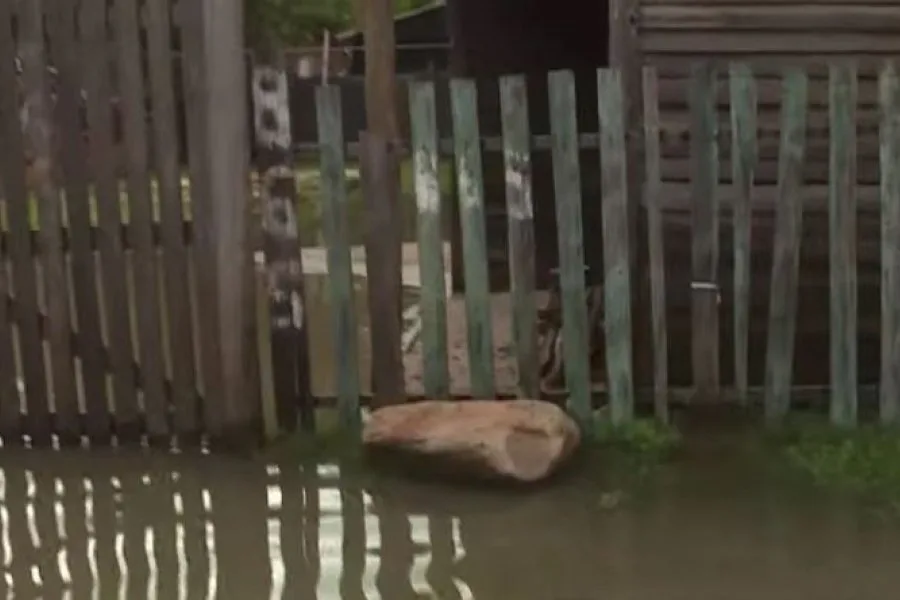 Crecida del río Uruguay en Concordia: evacuan a seis familias y advierten que el nivel seguirá en ascenso