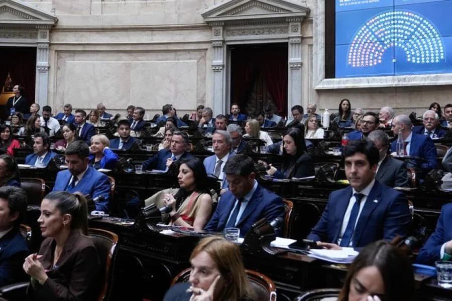 Diputados aprobó la ley de discapacidad con 237 votos y ahora la definición pasa al Senado