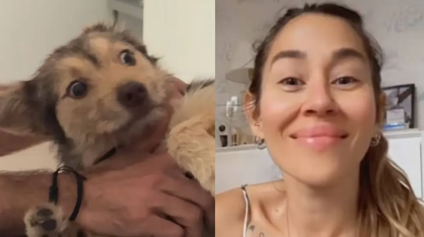 Jimena Barón contó que se convertirá en "abuela": su perra recién adoptada está embarazada de tres cachorros