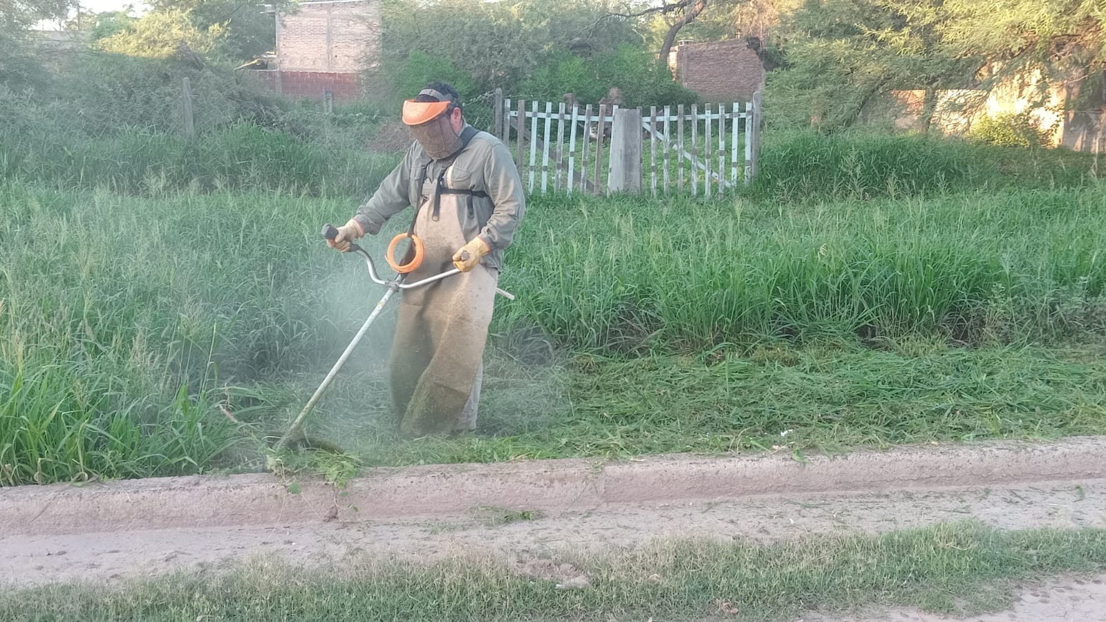 Alerta por el dengue: lanzan una campaña integral y piden "descacharrar" los patios