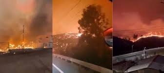 Chile arde: al menos 16 muertos y más de 10.000 hectáreas devastadas por incendios forestales