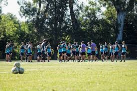 Racing avanza en la venta de Balboa y ya analiza opciones para el ataque