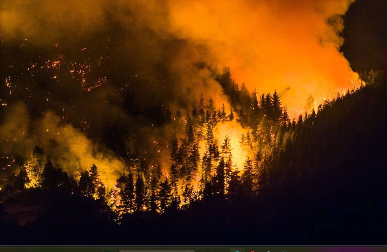 Política: Declaran la Emergencia Ígnea en Chubut, Río Negro, Neuquén y La Pampa