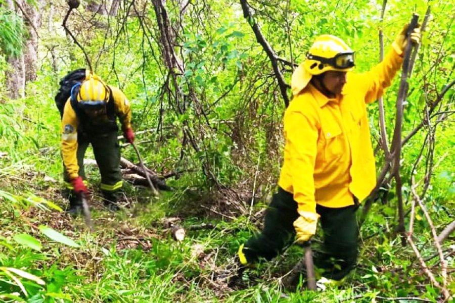 Provincia: Brigadistas santiagueños luchan contra el fuego en la castigada Patagonia