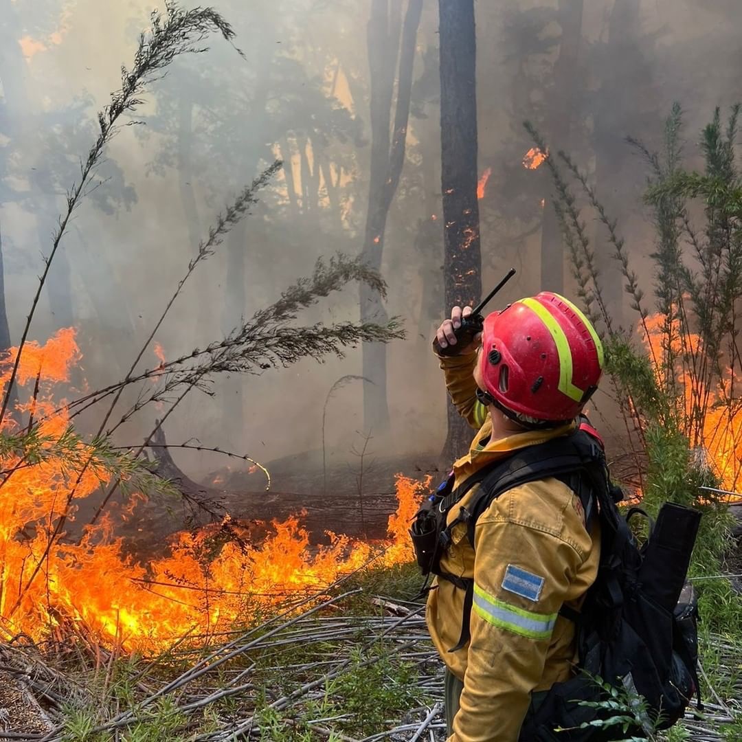 País: Drama en la Patagonia: el fuego ya afectó 45 mil hectáreas y hay cuatro parques en alerta