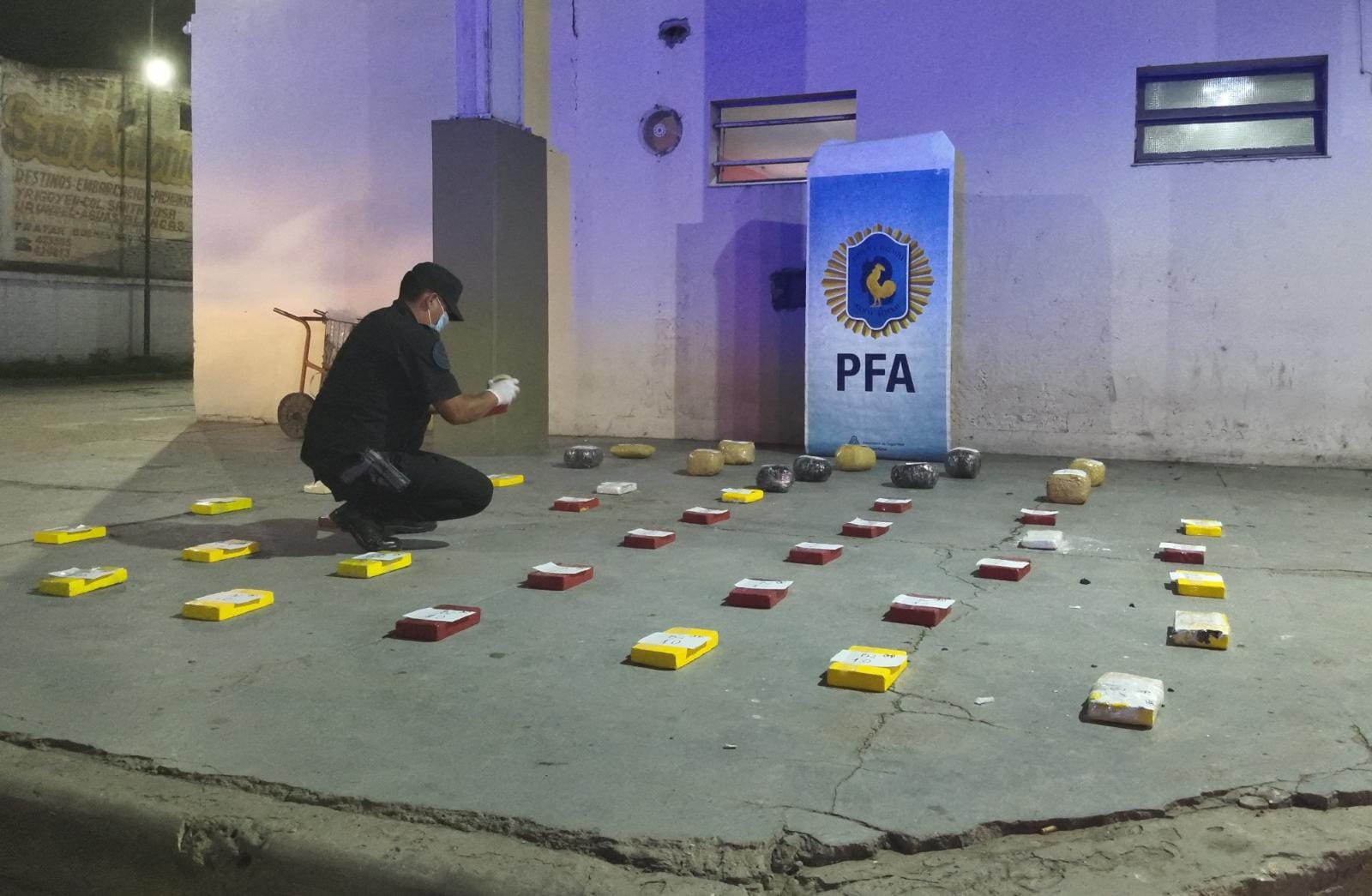 País: Policia Federal Argentina incautó 46 kilogramos de estupefacientes vinculados a la organización "Delfín"