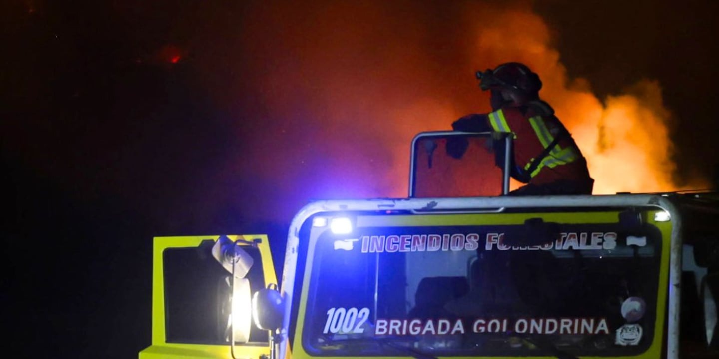 Incendios forestales: el Gobierno sumó a Santa Cruz a la Emergencia Ígnea