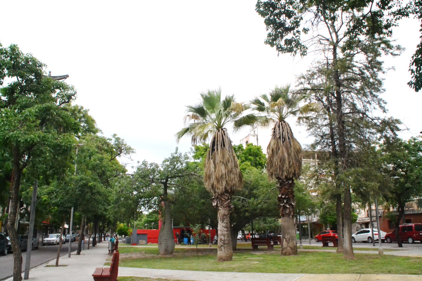 Santiago del Estero bajo alerta amarilla: se esperan tormentas fuertes durante la noche y ráfagas de hasta 80 km/h
