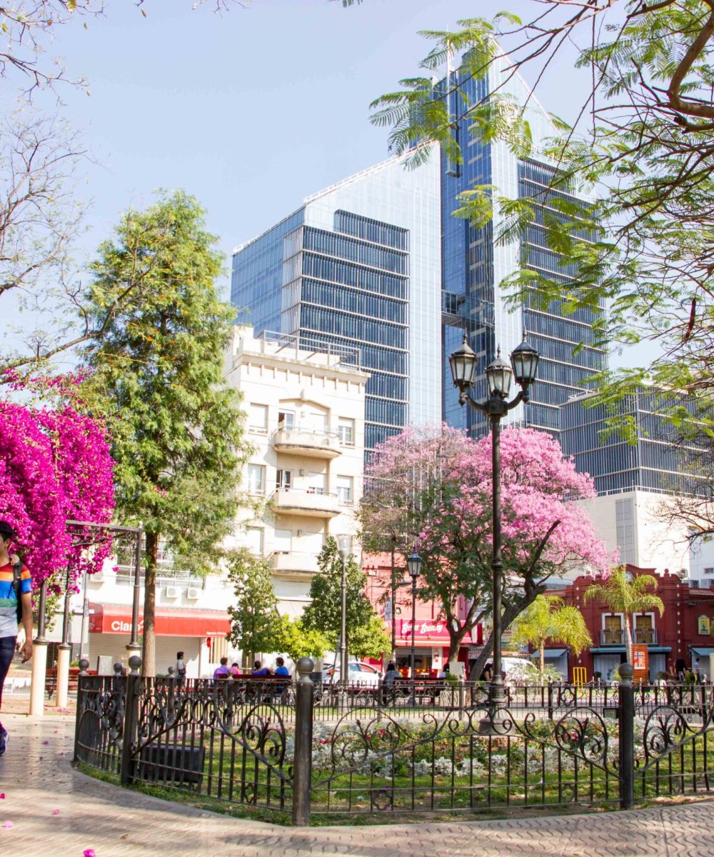 Santiago del Estero: tras un amanecer fresco, la máxima trepará a 34° y podrían volver las lluvias