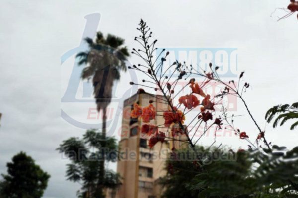 Viernes inestable en Santiago: la máxima llegará a 31° y se anuncian chaparrones por la mañana