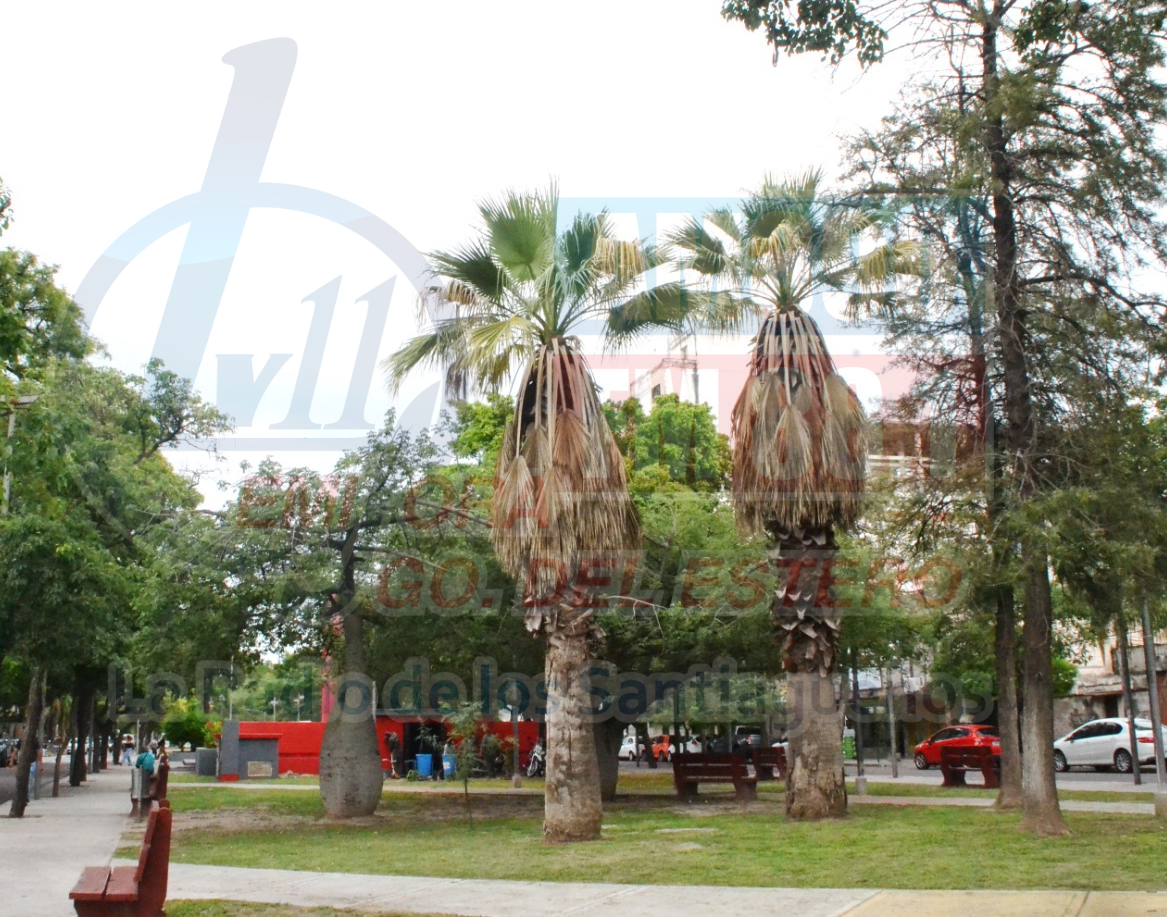 Sábado caluroso en Santiago: 35° de máxima y ráfagas de casi 70 km/h desde la noche