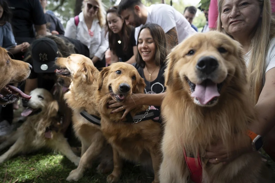 Condenaron a un hombre por maltrato animal en Salta