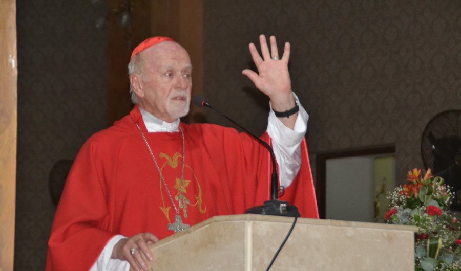 Con una multitudinaria bendición de ramos, el Cardenal Bokalic dió inicio a la Semana Santa