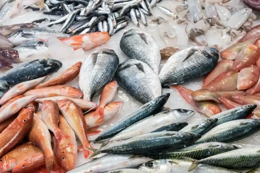 Semana Santa en crisis: el pescado subió hasta 800% y el consumo cayó a mínimos históricos