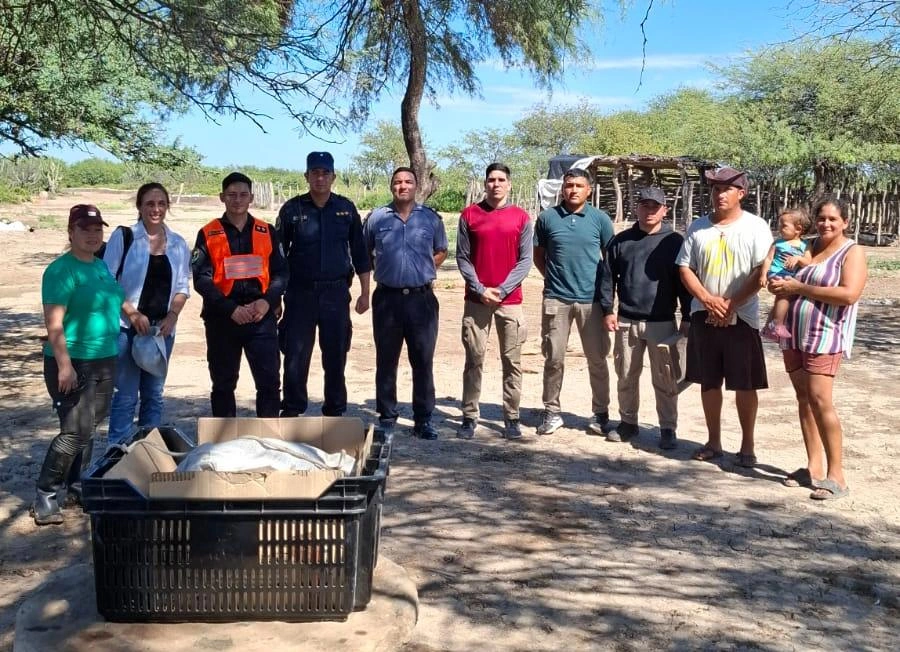 Histórico hallazgo en Los Mistoles: encuentran una vasija indígena tras el desborde del río