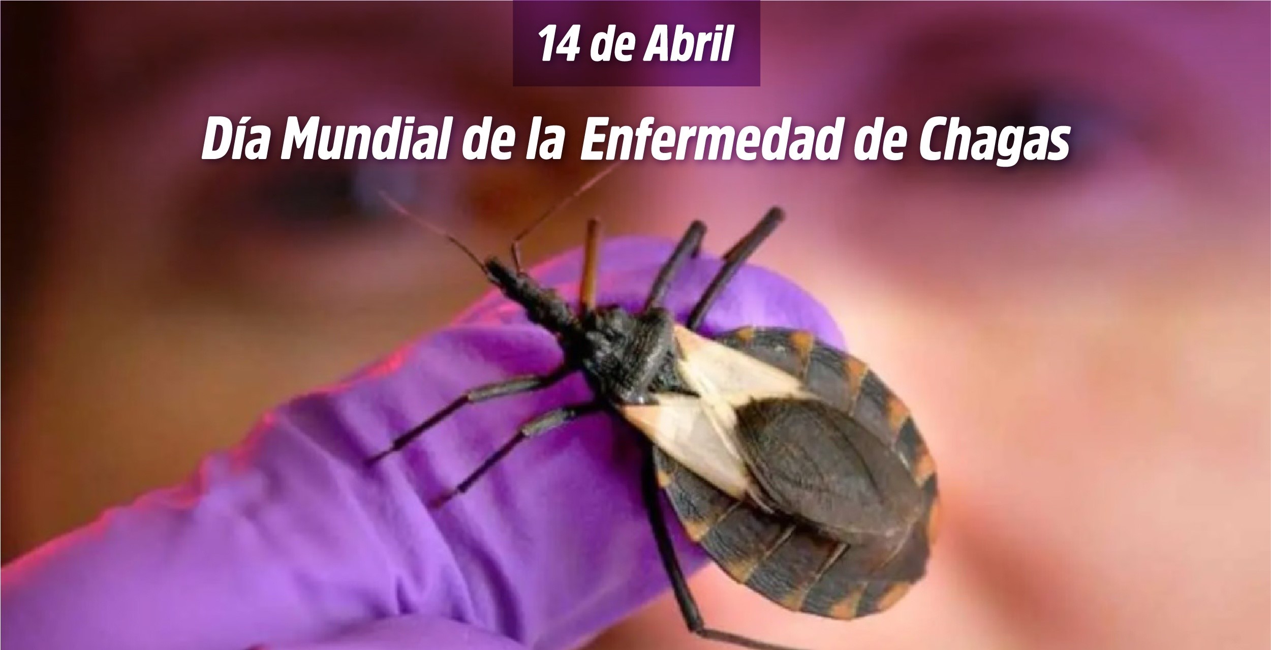 Semana por una Argentina sin Chagas: Santiago se suma con testeos y jornadas de prevención en toda la provincia