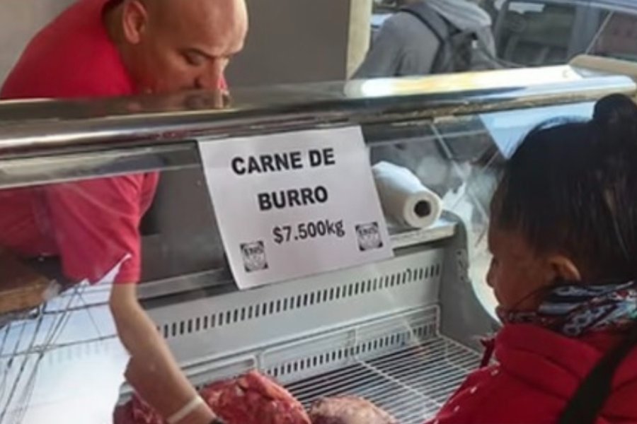 Polémica por la venta de carne de burro a $7.500 el kilo: se agotó en un solo día
