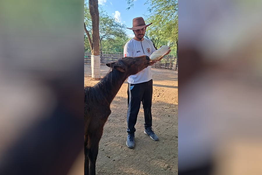 Presentan “Rescataditos”, una colección infantil basada en historias reales de animales rescatados