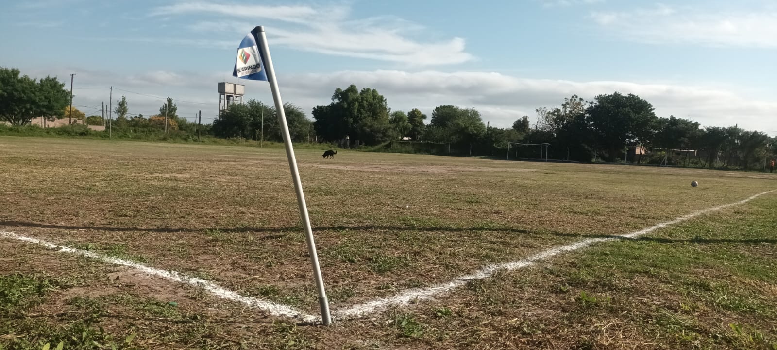 Crecimiento deportivo: la escuela "Las Pulgas" incorpora fútbol femenino y formación de arqueros en su 13° aniversario